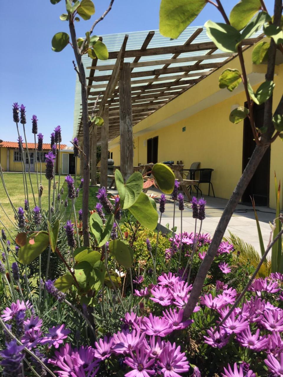 Hotel Quinta San Antonio Nopalucan de la Granja Екстер'єр фото