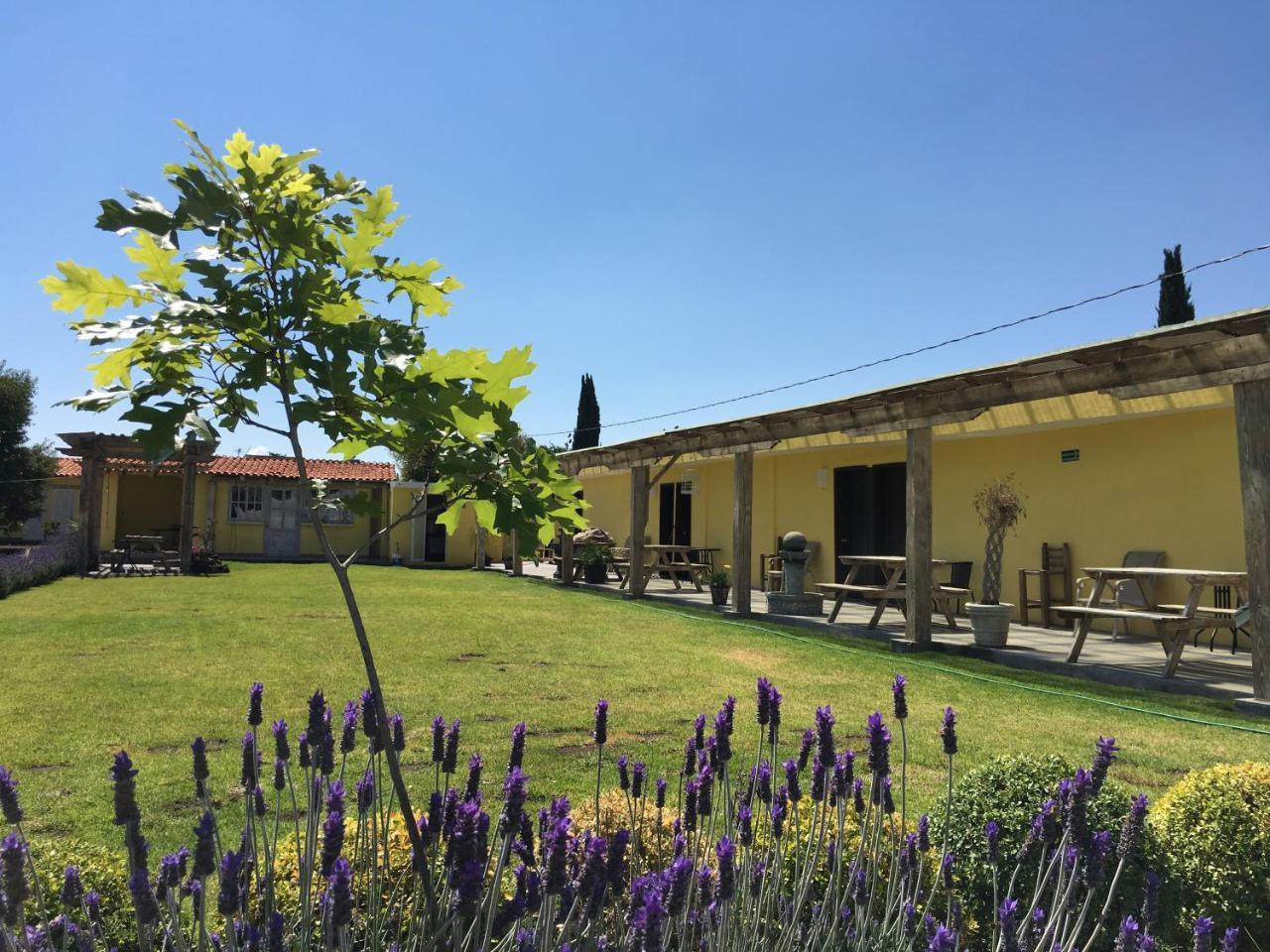 Hotel Quinta San Antonio Nopalucan de la Granja Екстер'єр фото